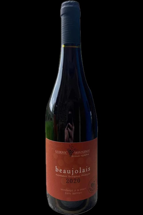 Beaujolais Nouveau 2025 Ludovic Montginot